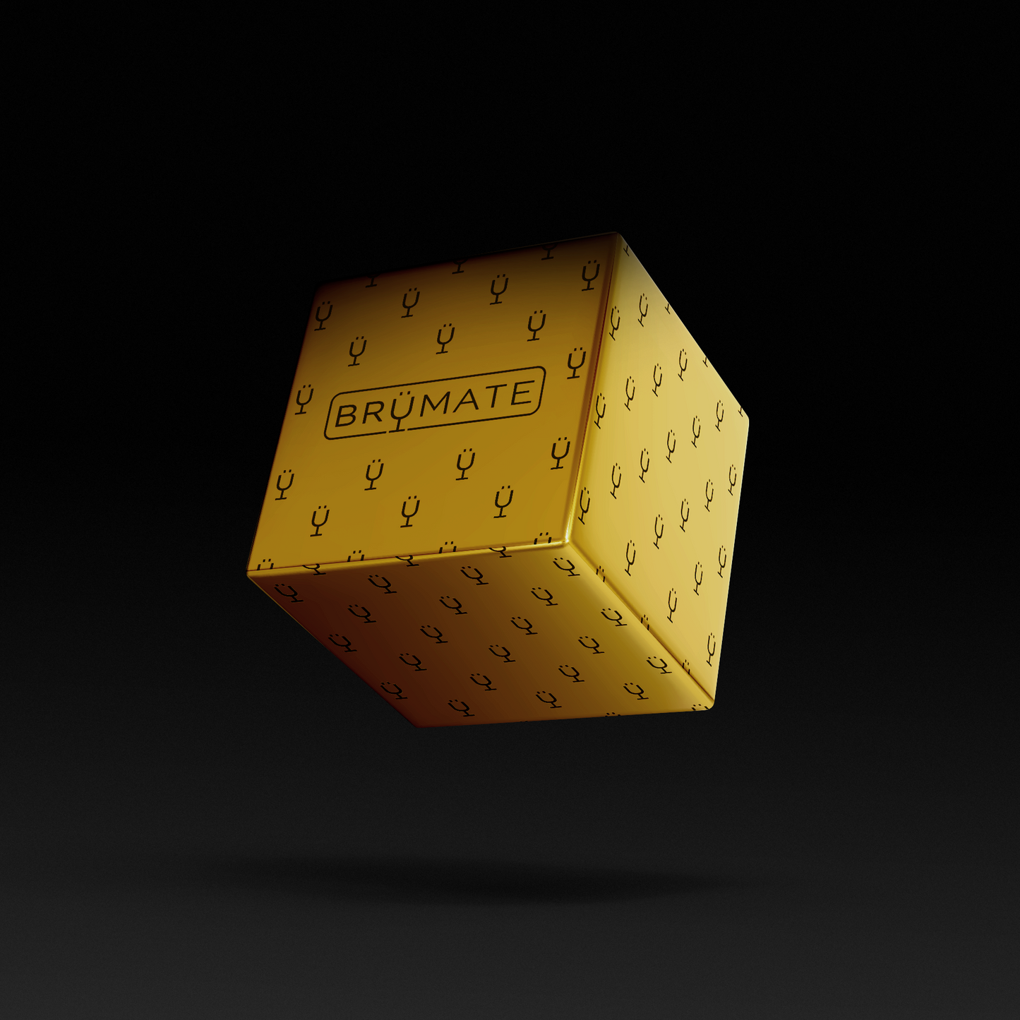 premium-mystery-item-39-70-value-q4 IMG-1548.png